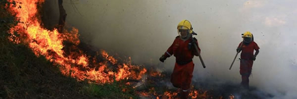 Alto riesgo de incendios forestales e incertidumbre alimentaria, ¿Cómo prevenir los impactos del Niño?