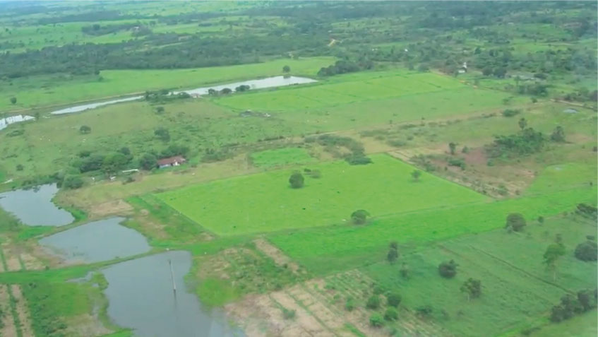 The global peril of droughts in the Amazon