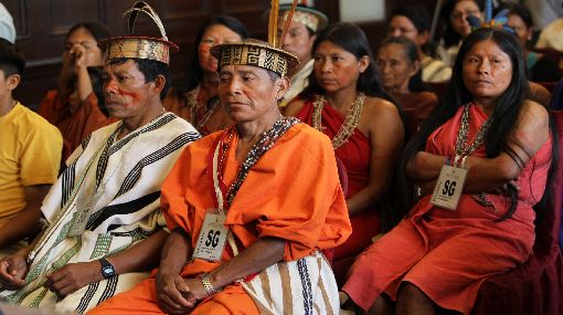 Los indígenas cuidan mejor la Amazonía que los gobiernos, según estudio