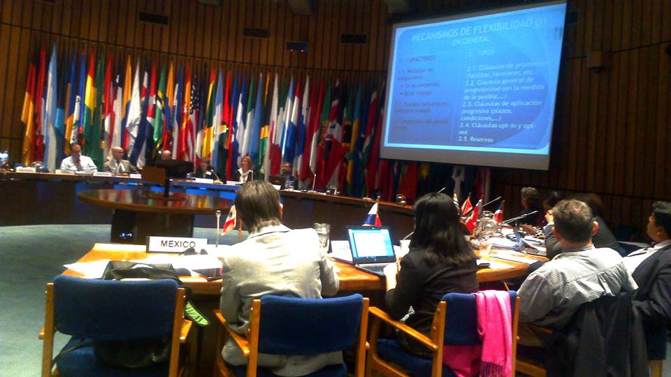Ambiente y Sociedad participa en la cuarta reunión de Puntos Focales del Principio 10 en América Latina y el Caribe