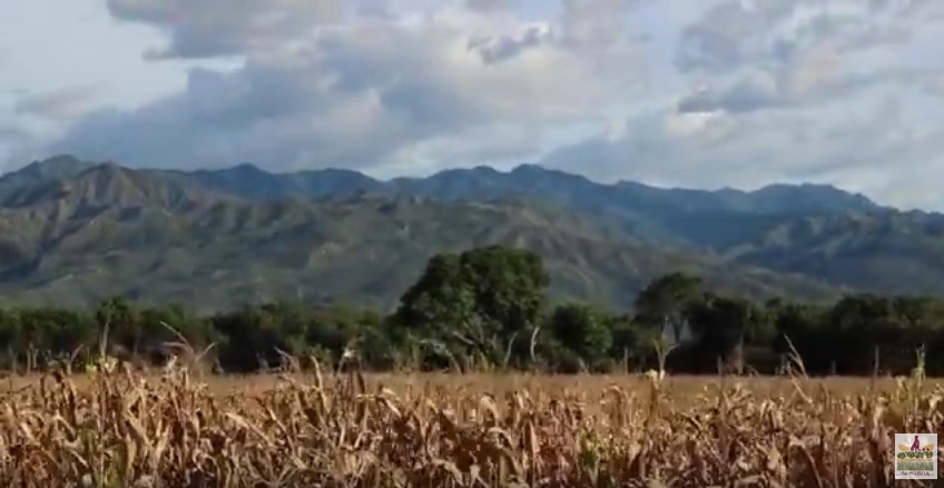 Geopolítica de la biodiversidad: el caso de las patentes de invención en Colombia 1993-2014