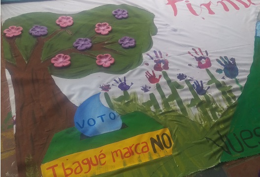 El Comité Ambiental de Ibagué presentó ante la ONU informe sobre mecanismos de participación en Colombia