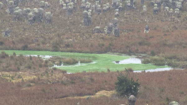 Países retoman en Chile negociación de acuerdo regional que consagra derechos ambientales impulsados por la Agenda 2030