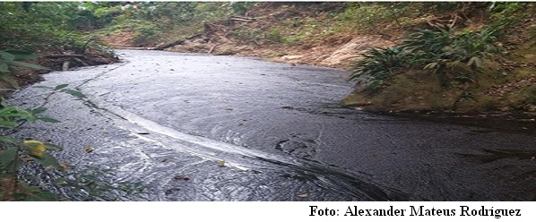 ¿Quién Defiende o Protege el Medio Ambiente en Colombia?