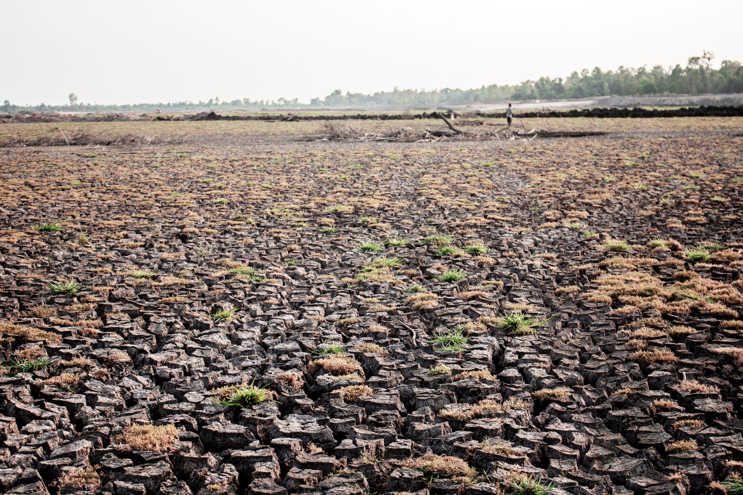 Por qué 2030 es la fecha límite de la humanidad para evitar una catástrofe global