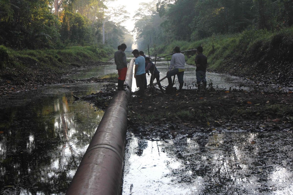 Avanza la frontera extractiva en la Amazonía