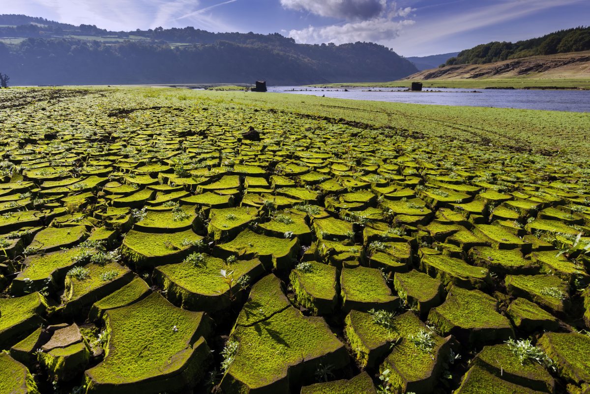 Podcast: ¿Qué es el cambio climático y cómo nos afecta?