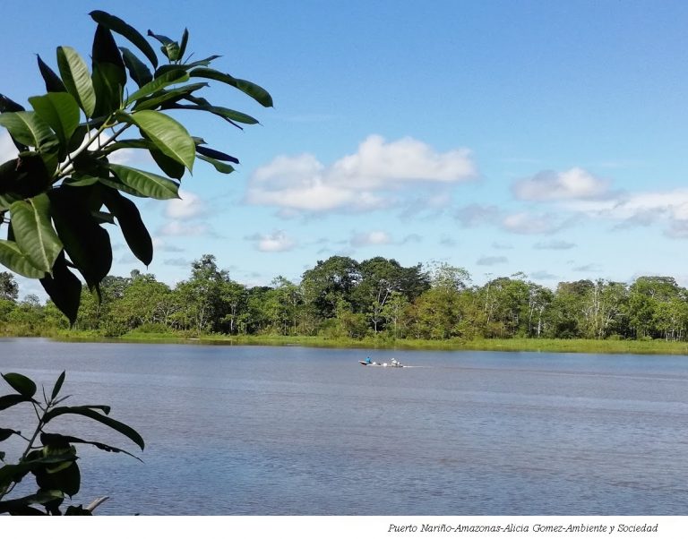 Colombia’s Strategic Ecosystems are Threatened by Megaprojects