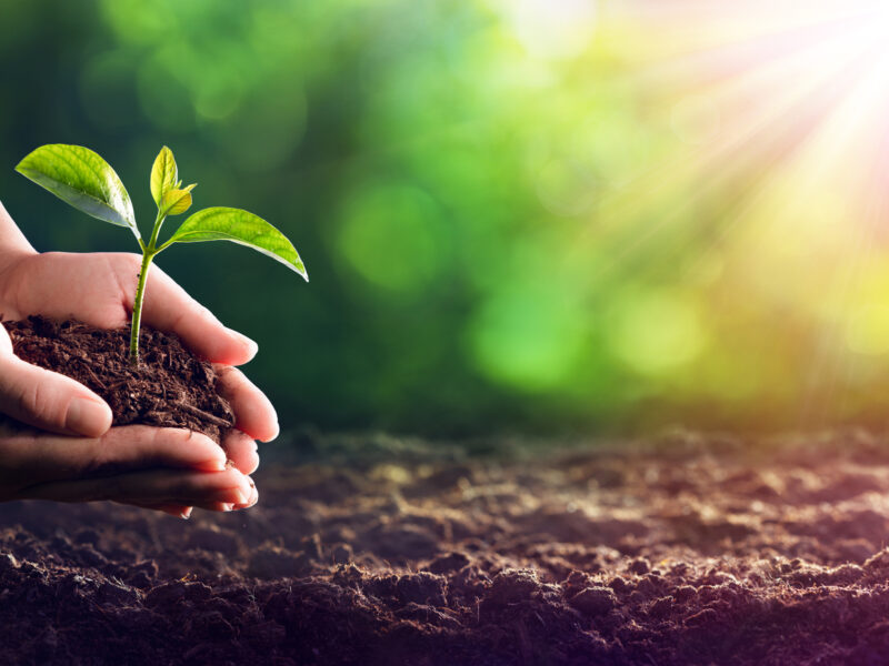 ¿Cómo beneficia a las personas y al medio ambiente el nuevo Marco de Política Ambiental y Social del BID?