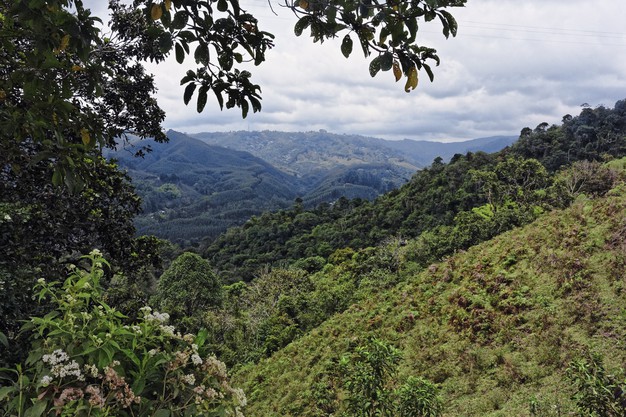 Lo bueno y lo malo de la actualización de la política ambiental del BID
