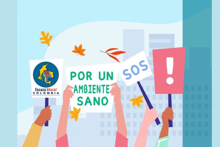 ¡Acuerdo de Escazú ahora!: el mensaje de la Alianza por este tratado en el Día Mundial del Medio Ambiente