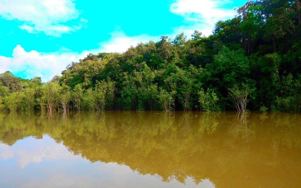 «From the Amazon we see that the government has not been able to stop deforestation»: Mateo Estrada