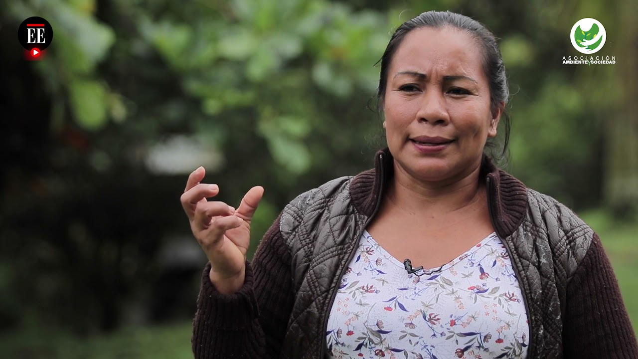 «The State has never come to our territories»: indigenous communities