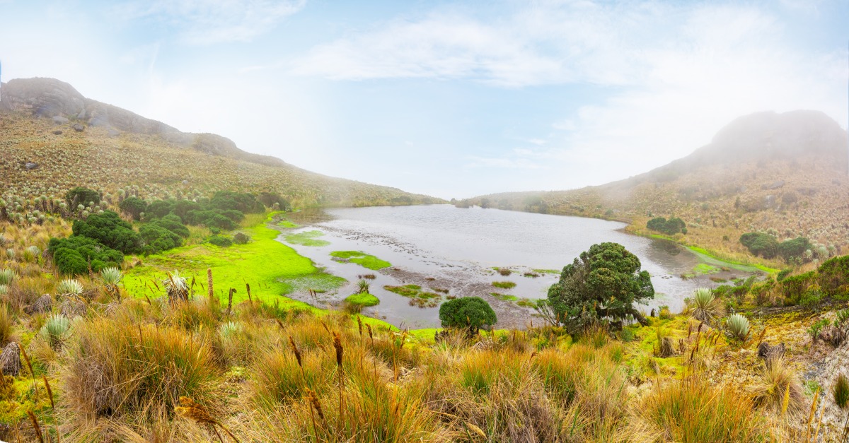 El constante problema de la tierra en el Gran Sumapaz: Desde 1821 hasta 2018