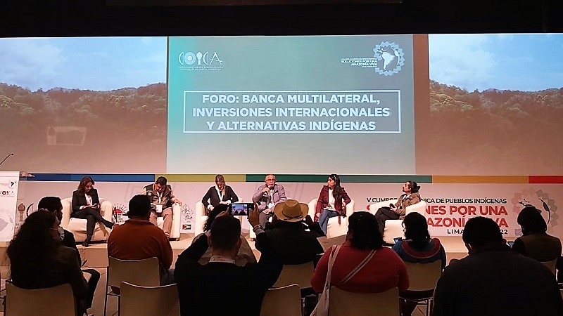 Iniciativa Amazónica BID: ¿asegura participación indígena en su ejecución?
