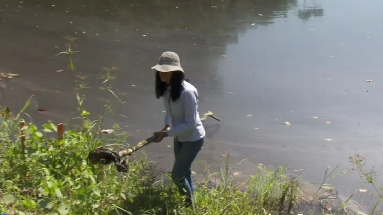 Campesinos del Putumayo dicen que explotación petrolera contamina fuentes de agua