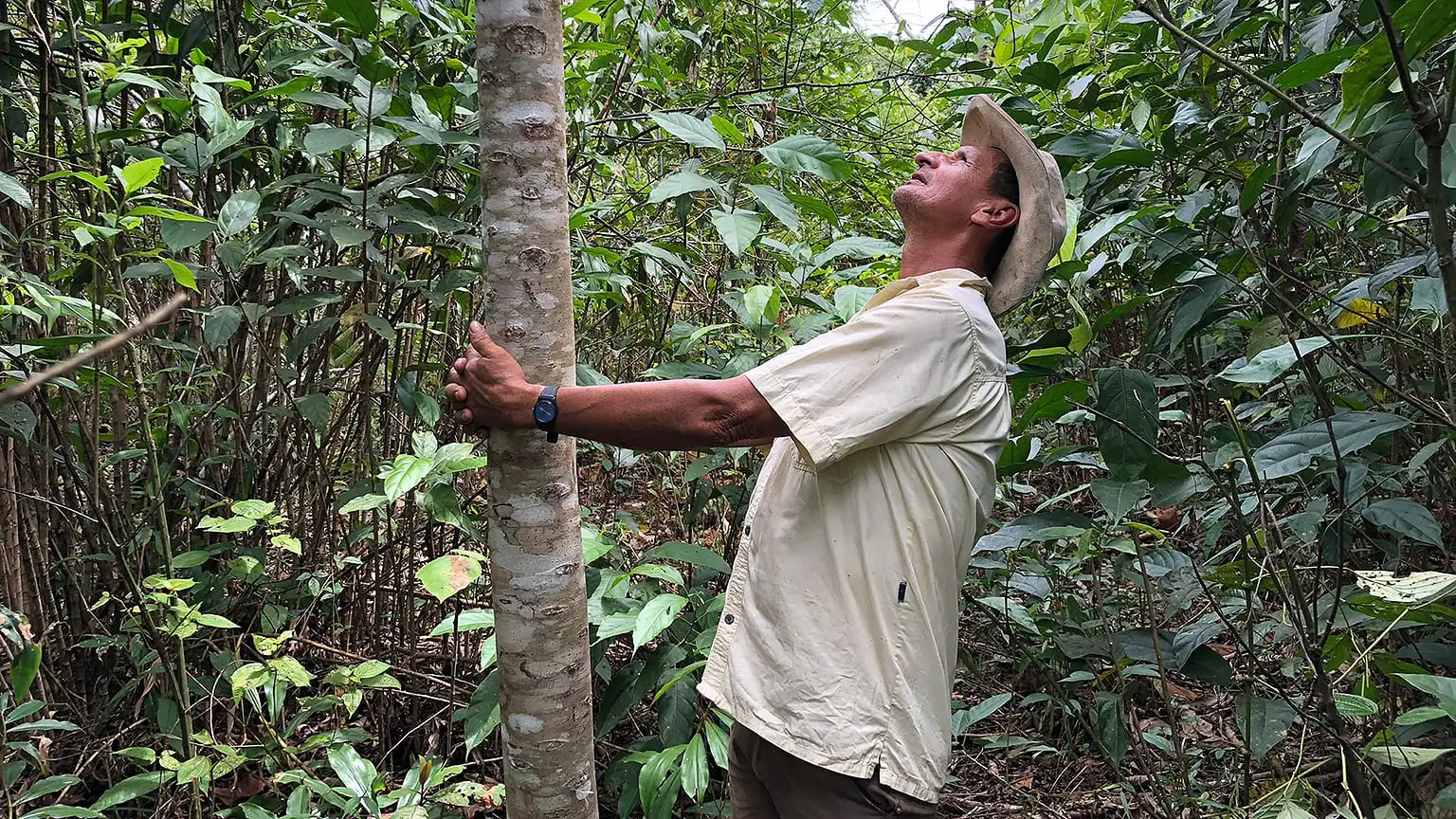 Manos campesinas buscan conservar la Amazonía