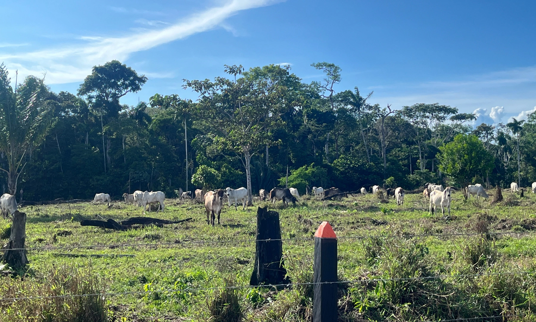Las cuentas del PDET en Caquetá y Putumayo no cuadran